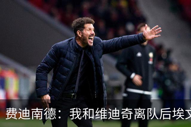 费迪南德：我和维迪奇离队后埃文斯能力最强